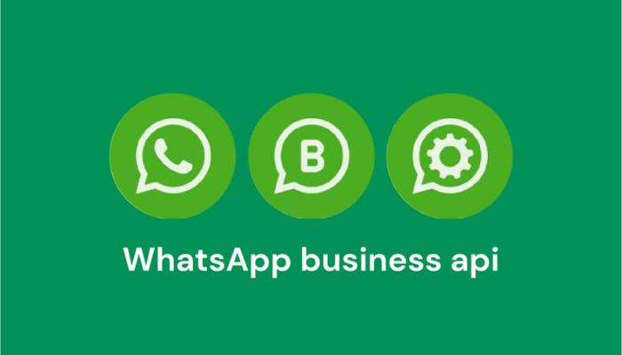 What Exactly Is the WhatsApp Business API